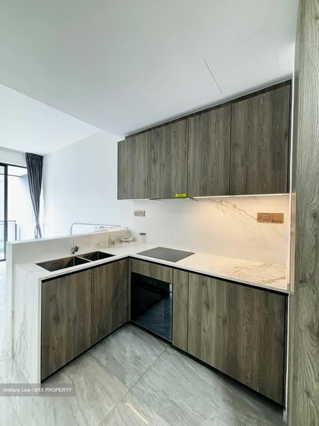 Leedon Green (D10), Condominium #556060131